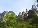 DSCF1205