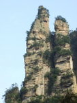 DSCF1242