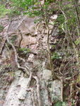 DSCF1246