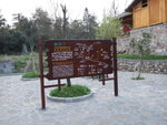DSCF1313