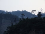 DSCF1321