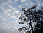 DSCF1341