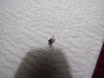 DSCF1357