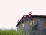 DSCF1935