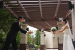IMG_0065_gif