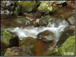 DSCF6267