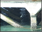DSCF5149