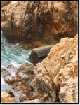 DSCF5185