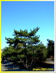 DSCF8799