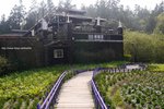 A (96) 其實都係公園一個