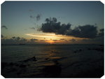 DSCF3767