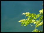 DSCF4278