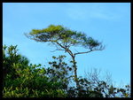 DSCF4483