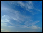 DSCF4490