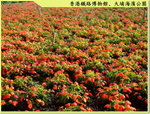 
DSCF7962 WA~~~~~~~~~!