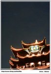 IMG_8580 話咁快就黎到食甚啦