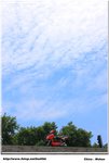 IMG_8773 晴空下的小綿羊
