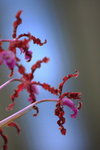 IMG_1400_resize