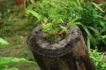 IMG_1457_resize