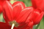 IMG_2119_resize