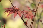 IMG_2140_resize