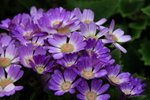 IMG_2216_resize