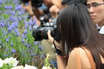 IMG_2353_resize