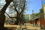 IMG_2239_resize