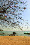 IMG_2240_resize