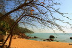 IMG_2241_resize