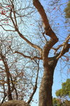 IMG_2242_resize