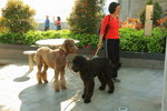 IMG_2293_resize