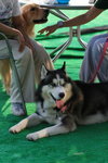 IMG_0407_resize
