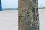IMG_0521_resize