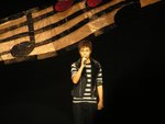 hins_1