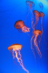 18_OceanPark