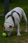 IMG_5087