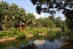 中文大學
IMG_5806