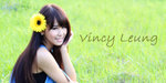 Vincy Banner-1