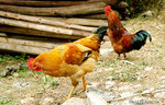 DSa_051224_B0003