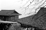 DSa_051224_B0005