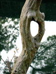 CRW_5256