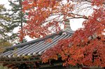 DSa_071103_E0007