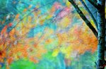 DSa_071103_G0030
