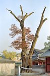 DSa_071103_K0027