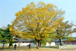 DSa_071103_K0031