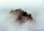 DSa_080320_D0033