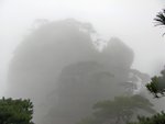 IMG_6321