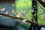 DSa_080320_I0003