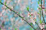 DSa_080320_I0006